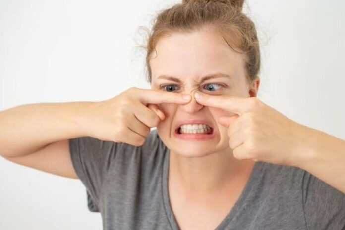 FB_IMG_1743748522905