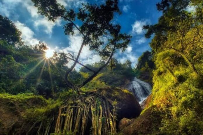 FB_IMG_1747642343396