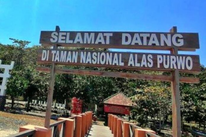 FB_IMG_1754151846444