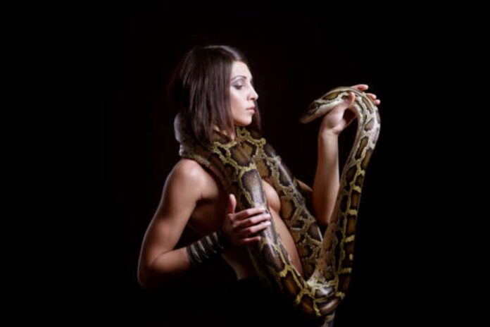 FB_IMG_1754439105319